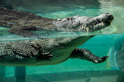 Zoo Miami: biglietto d&#039;ingresso generaleIngresso + Pacchetto Cibo