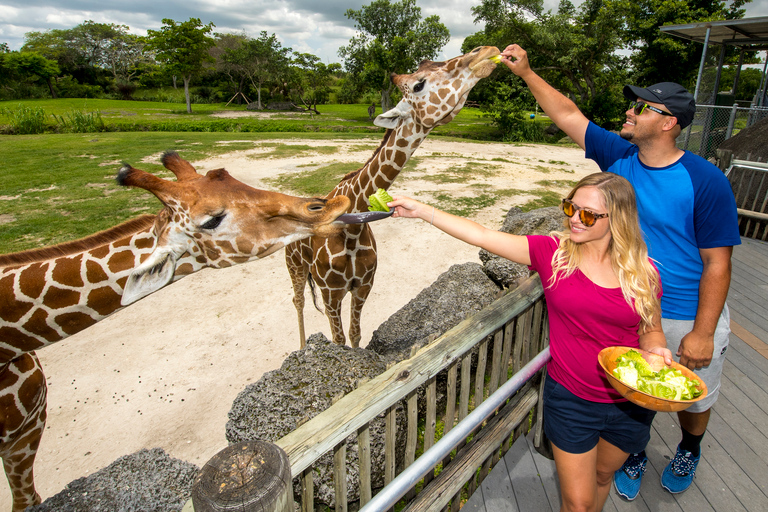 Zoo Miami: biglietto d&#039;ingresso generaleIngresso + Pacchetto Cibo