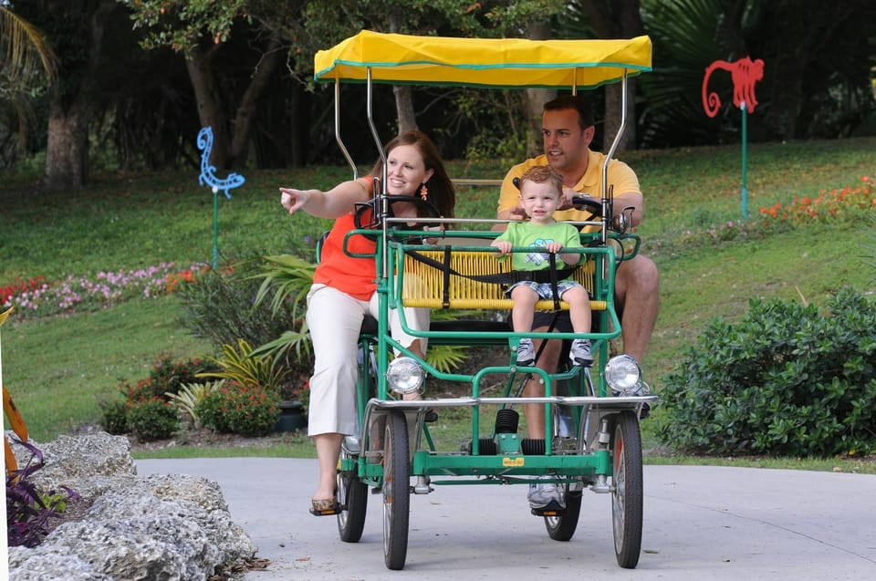 Zoo Miami General Admission Ticket GetYourGuide