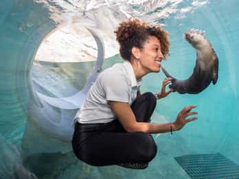 Zoo Miami: Allgemeine Eintrittskarte Zoo Miami: Allgemeine Eintrittskarte