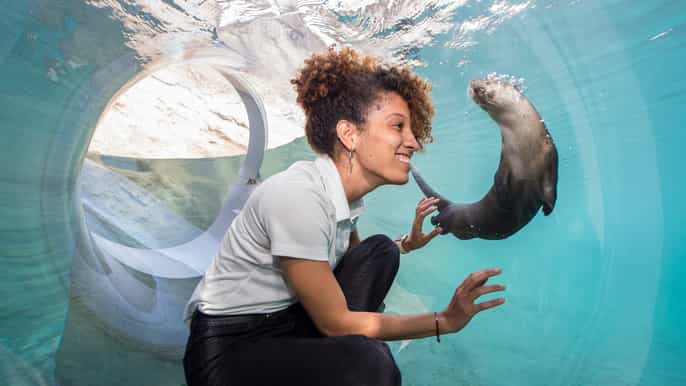 zoo miami allgemeine eintrittskarte