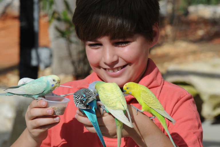 Zoo Miami: Ogólny bilet wstępuWstęp + pakiet żywności