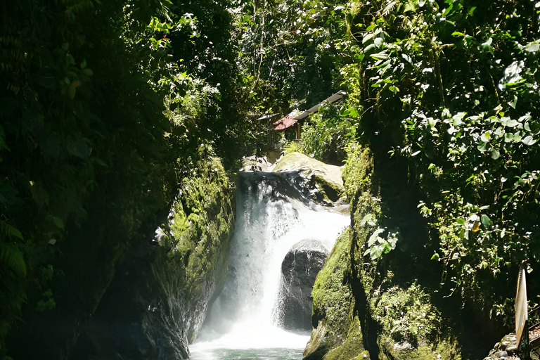 Z QUITO-Mindo Cloud Forest i Calacali Środek świata