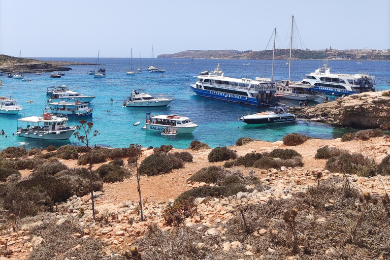 Crociera di un giorno intero a Comino e alla Laguna Blu da Gozo e CirkewwaDa Gozo e Cirkewwa: Crociera di una giornata intera a Comino e alla Laguna Blu