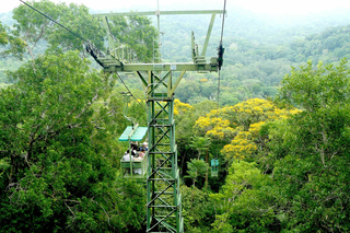 Forêt tropicale de Gamboa: Excursions à la journée depuis Panama (ville)