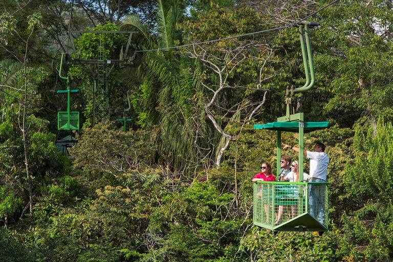 De Panama City: visite guidée de la forêt tropicale de Gamboa avec déjeuner