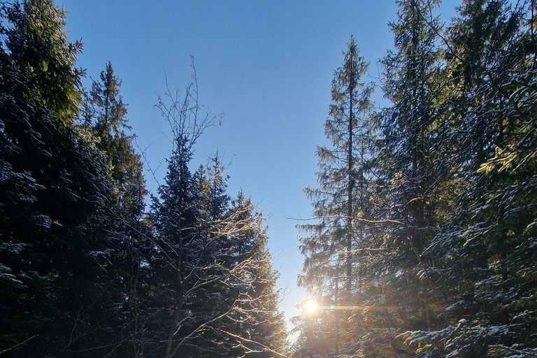 Panoramagipfel – Oslos beste Wanderung mit Blick auf die FjordePanoramische Gipfel – Oslos beste Wanderung mit Fjordblick