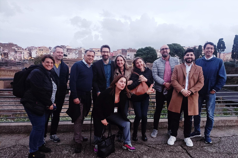 Transfer from Sorrento & Guided Pompeii to Naples area