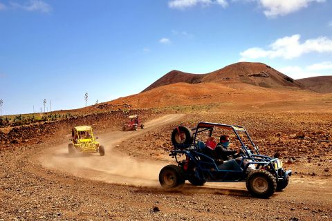Corralejo: tour safari en quad o buggy