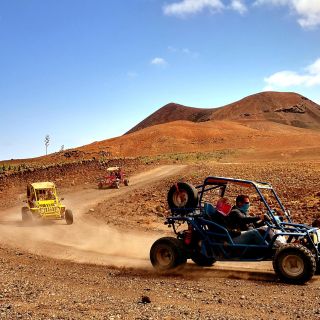 Corralejo: Quad or Buggy Safari Tour