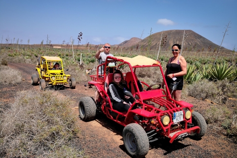 Corralejo: Quad or Buggy Safari Tour Single Buggy