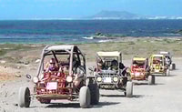 Corralejo, Buggy Safari Tour - Housity