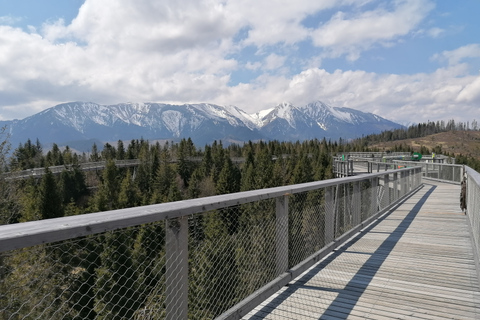 From Kraków: Slovakia Treetop Walk and Thermal Baths Group Tour with Ticket to Cableway in Slovakia Included