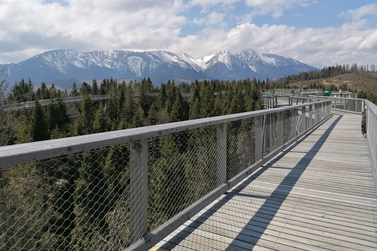 From Kraków: Slovakia Treetop Walk and Thermal Baths Group Tour with Ticket to Cableway in Slovakia Included