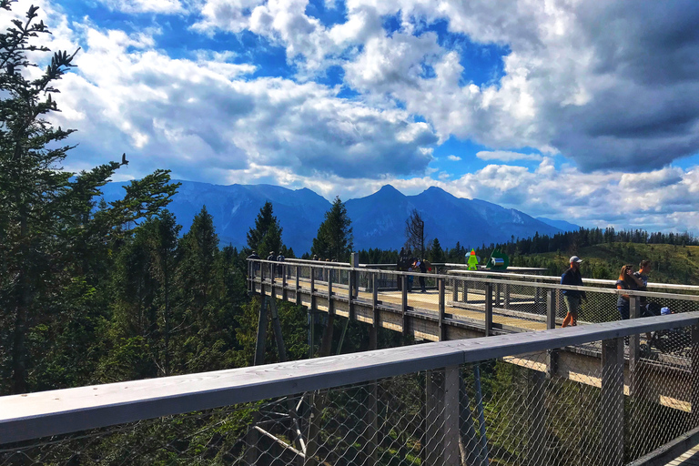 From Kraków: Slovakia Treetop Walk and Thermal Baths Group Tour with Ticket to Cableway in Slovakia Included