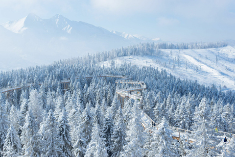 From Krakow: Slovakia Treetop Walk, Zakopane & Thermal Baths Shared Tour