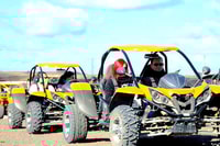 Costa Calma, Buggy Safari - Housity