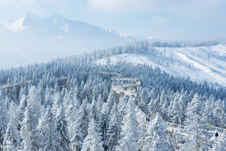 Da Cracovia: Morskie Oko e Slovakia Treetop WalkTour condiviso