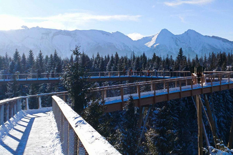 De Cracovie: Morskie Oko et Slovaquie Treetop WalkVisite partagée