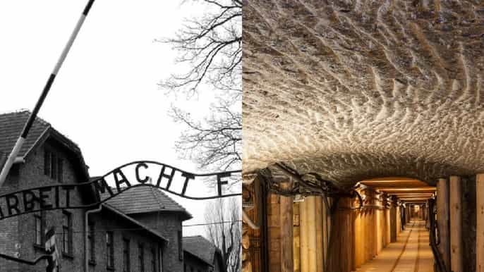 depuis cracovie auschwitzbirkenau et mine de sel