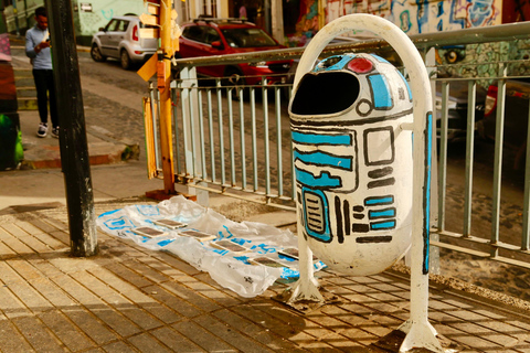 Santiago: Tour di Valparaiso, Viña del Mar e della Valle di Casablanca