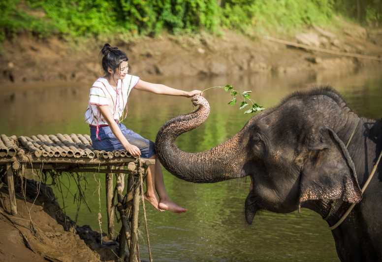 thailand elephant sanctuary tour