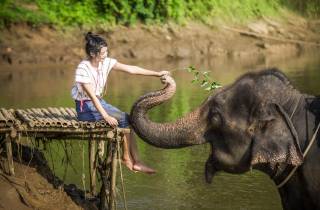 Bangkok: Elefantenschutzgebiet & Erawan Wasserfall Tour