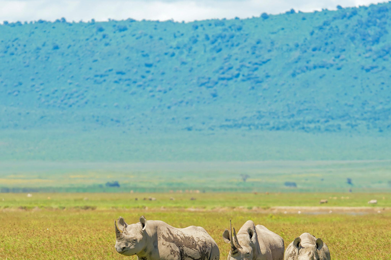 Ngorongoro Crater Safari & Maasai Village Experience