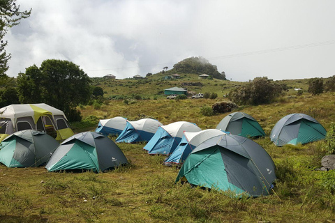 10-Day Simien Trek: Ras Dashen to the Lowlands
