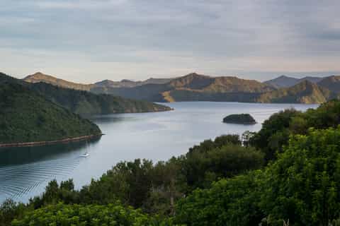 Marlborough: Private Yacht Tour with Lunch & Sparkling Wine