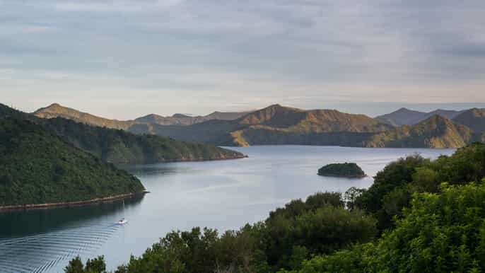 marlborough private yacht tour with lunch sparkling wine