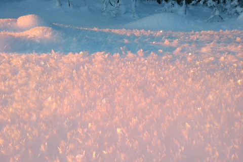 Tromsø Street to Wilderness: Guided Snowshoe Hike