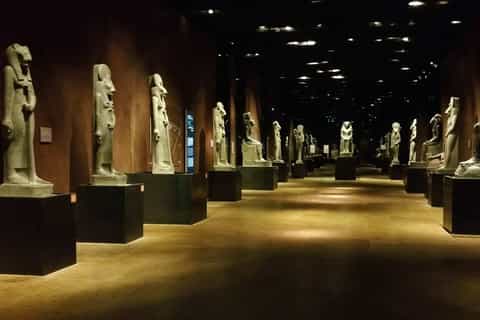 Turin: Royal Palace and Egyptian Museum Guided Tour