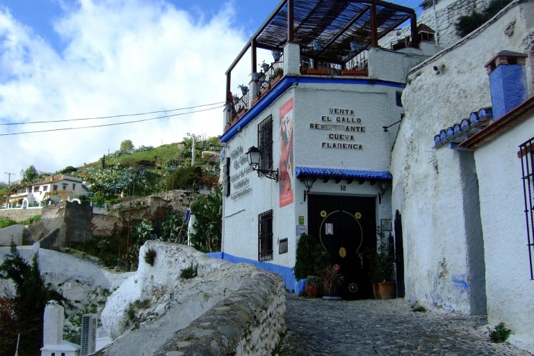 Grenade: visite à pied de l'Albaicín, du Sacromonte et du musée des grottesVisite en anglais