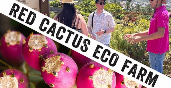 Tenerife: Experience a one-of-a-kind organic farm with tasting and museum