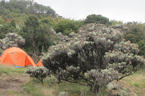 Mount Gede: 2-Day Hiking and Camping Adventure from Jakarta Thrilling Adventure with Mount Gede Hike and Camp 2D1N Tour!