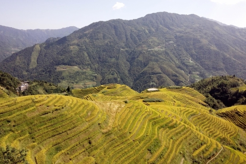 De Guilin: El espinazo del dragón terrazas de arroz de Longsheng