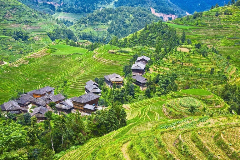 De Guilin: El espinazo del dragón terrazas de arroz de Longsheng