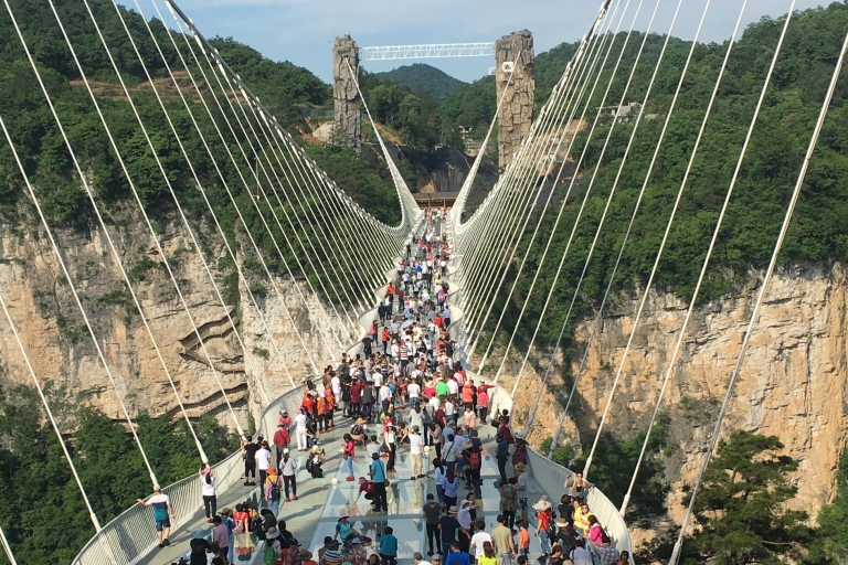 Viaje privado del Parque Nacional de Zhangjiajie y el Puente de Cristal