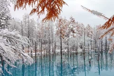 Sapporo: Biei Blue Pond, Shikisai no Oka and Furano Tour