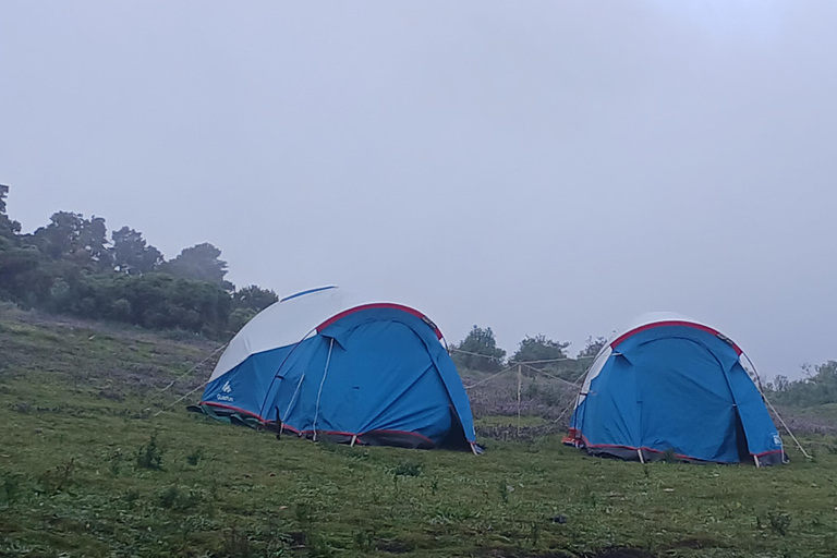 Gondar: 7-tägige Simien Mountains Wandertour