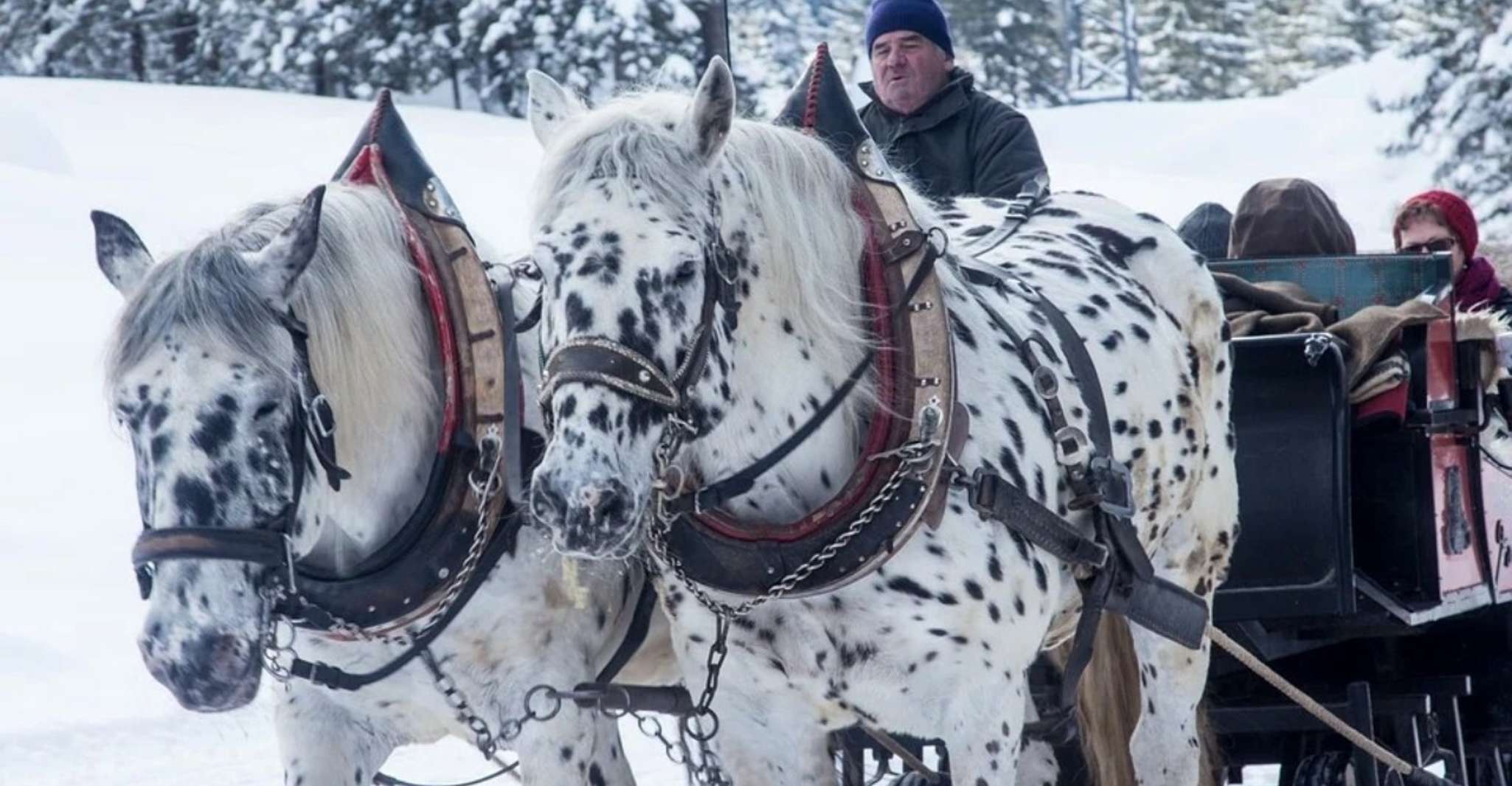 Zakopane and Sleigh Ride with Transfers and Lunch Option - Housity
