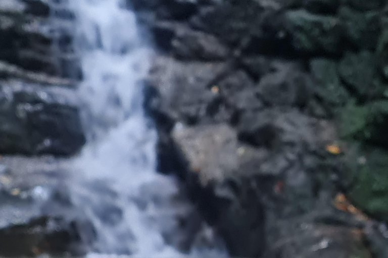 Tijuca Rain Forest - Adventure through Waterfalls & Caves Tijuca Rain Forest - Adventure through Waterfalls & Caves 2