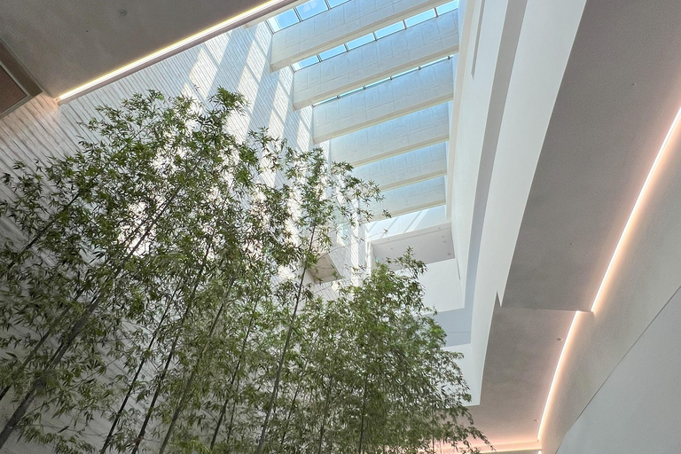 2D1N Excursión Experiencia Chungbuk: Estancia Pungnyu en Yeongdong