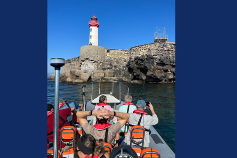 Cap d&#039;Agde: 1,5-godzinny rejs statkiem, zwiedzanie z przewodnikiem i bezpłatny napójCap d&#039;Agde: Rejs statkiem 1H3O, zwiedzanie z przewodnikiem i bezpłatnym napojem