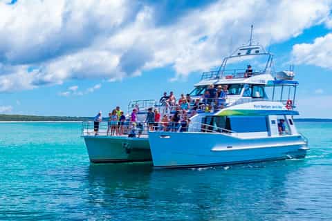 jervis bay 2hour whale watching cruise