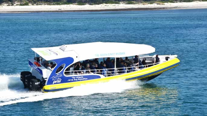 jervis bay 2hour cruise of jervis bay passage