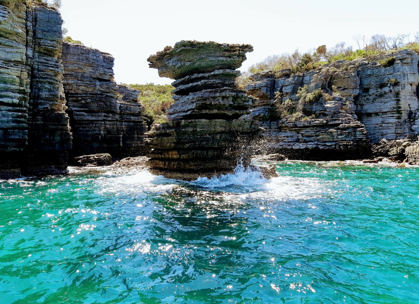 Jervis Bay: 2-timers krydstogt i Jervis Bay Passage