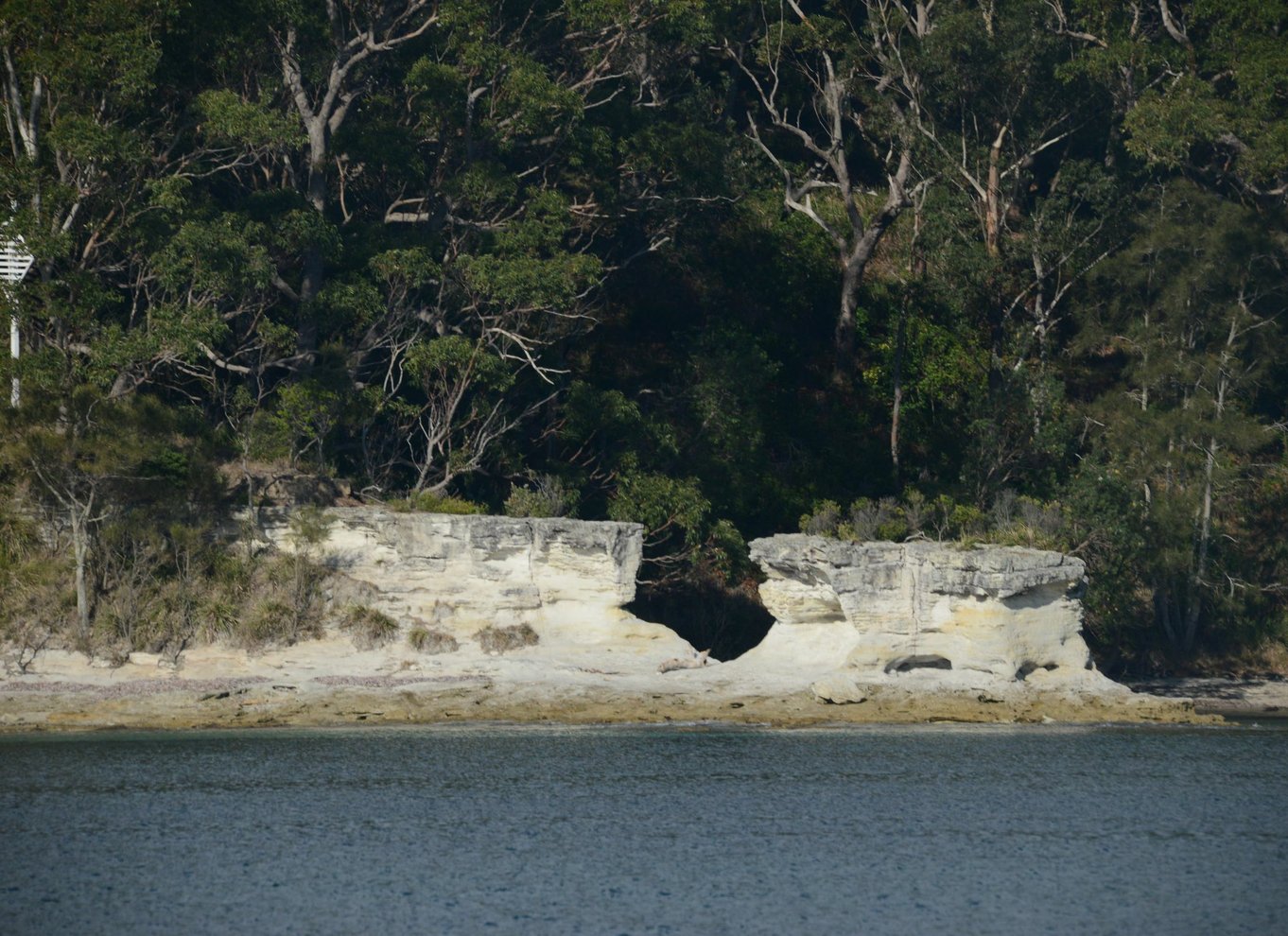 Jervis Bay: 2-timers krydstogt i Jervis Bay Passage