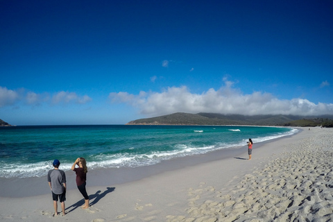 Hobart : Wineglass Bay & Freycinet Active Day TourDe Hobart: excursion active d'une journée à Wineglass Bay